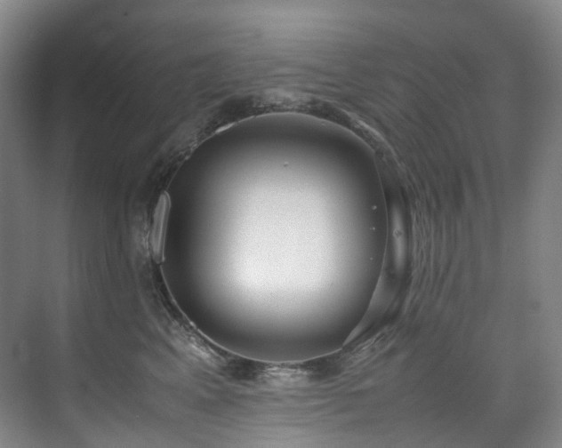 X0000075840617200609151306