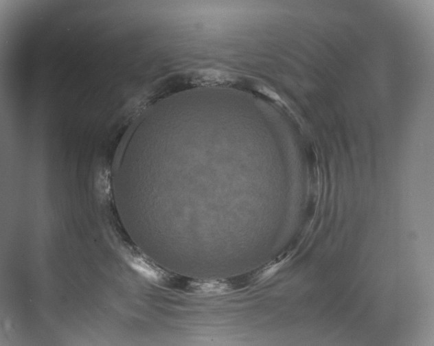 X0000075840621200609151306