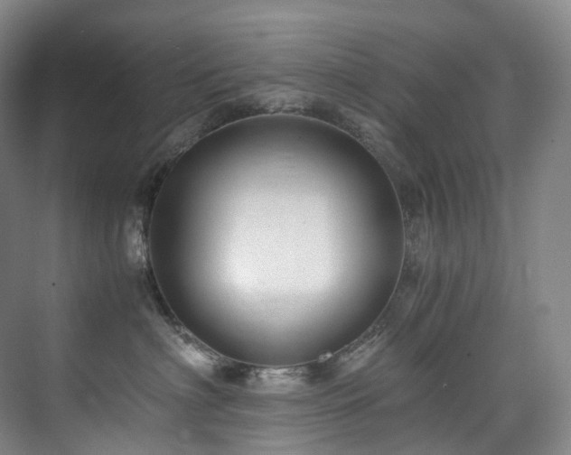 X0000075840622200609151306