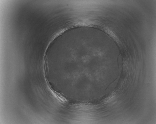 X0000075840626200609151305