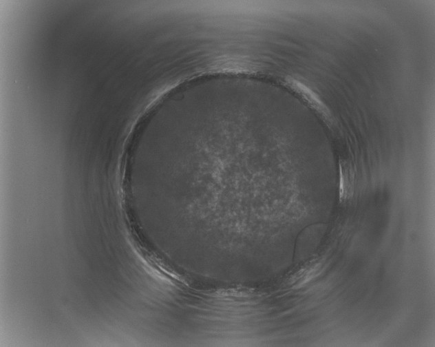 X0000075840627200609151305