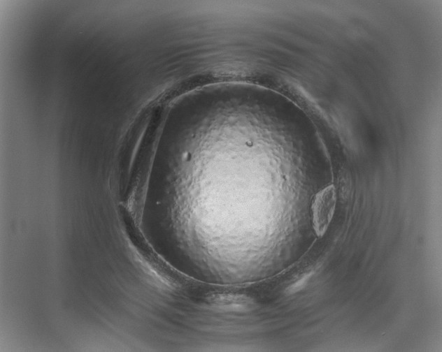 X0000075840637200609151305