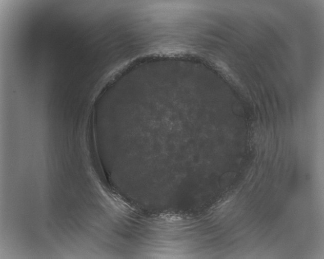 X0000075840640200609151305