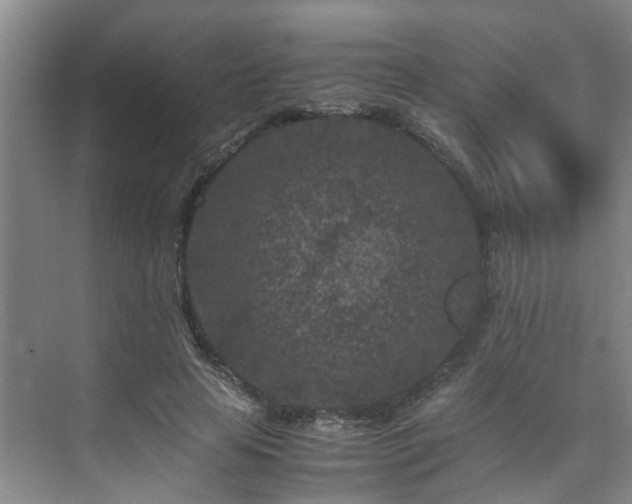 X0000075840641200609151305