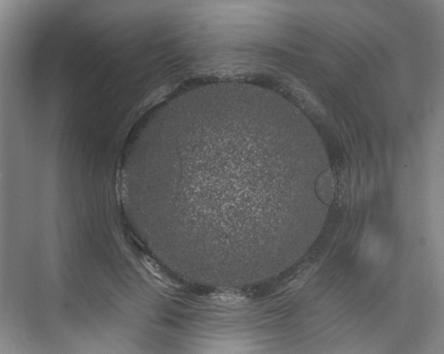 X0000075840644200609151305