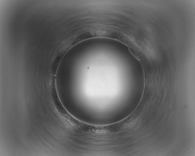 X0000075840645200609151305