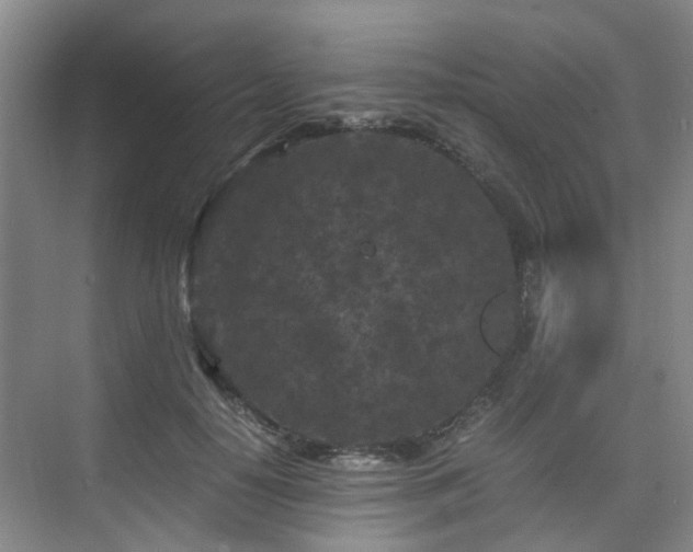 X0000075840650200609151305