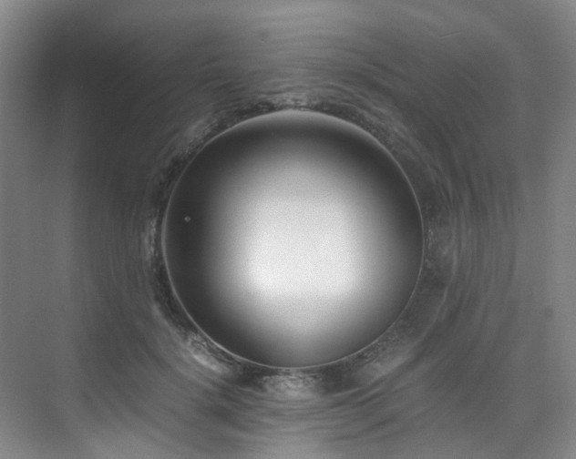 X0000075840652200609151306