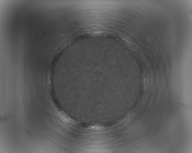 X0000075840654200609151306