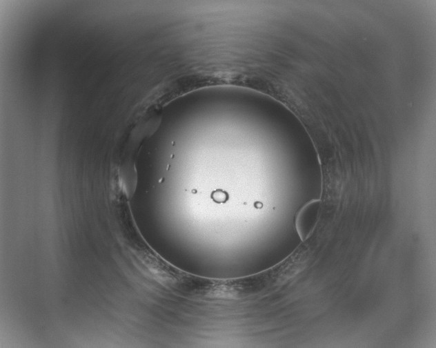 X0000075840656200609151306