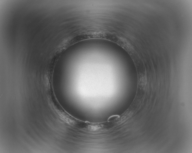 X0000075840662200609151306