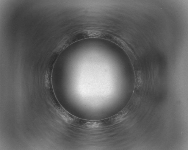 X0000075840667200609151306