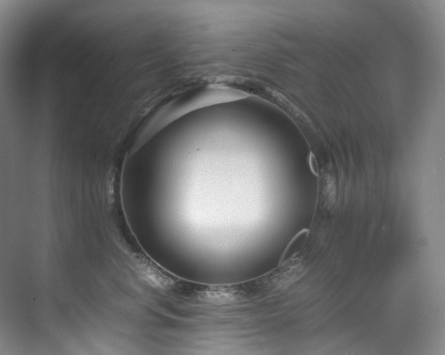 X0000075840668200609151306