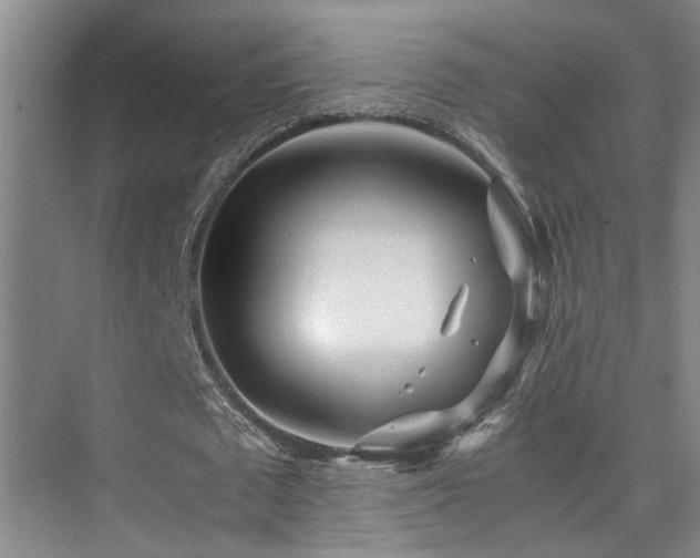 X0000075840673200609151305