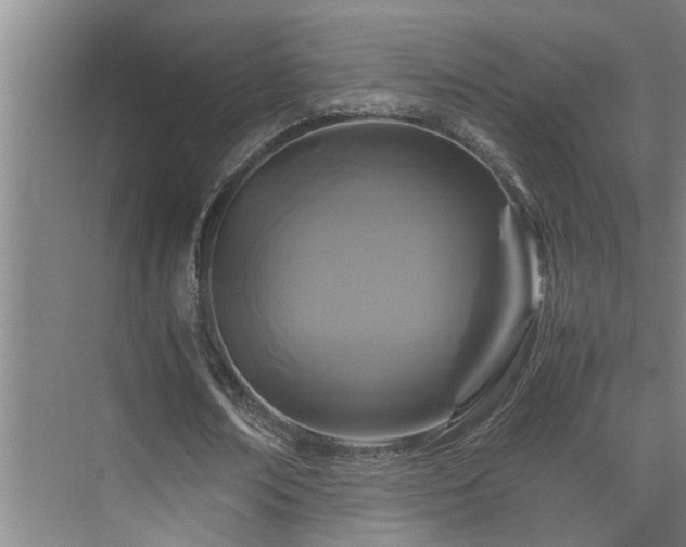 X0000075840674200609151305