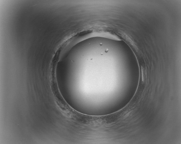 X0000075840675200609151305