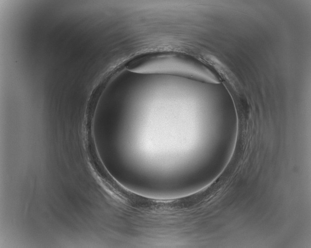 X0000075840677200609151305