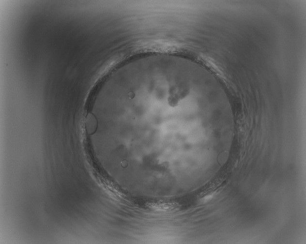 X0000075840679200609151305