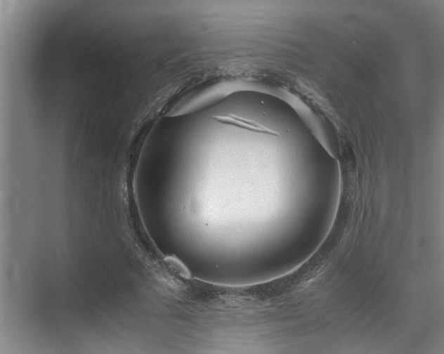 X0000075840681200609151305