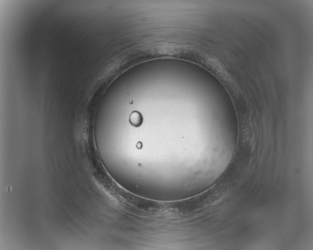 X0000075840683200609151305