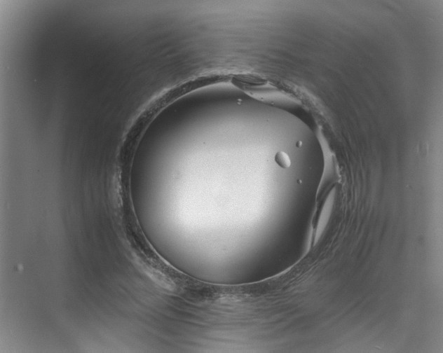 X0000075840684200609151305