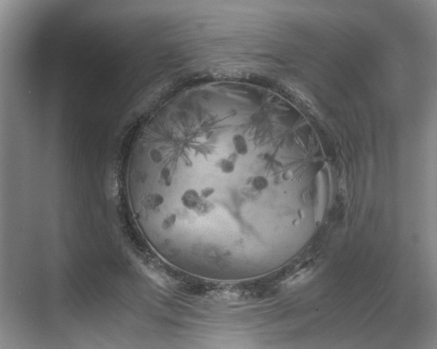 X0000075840687200609151305