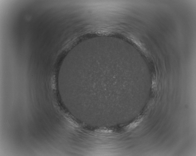 X0000075840689200609151305