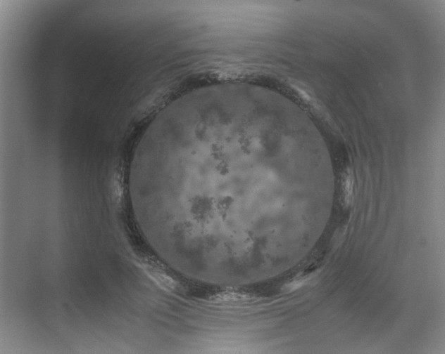 X0000075840691200609151305