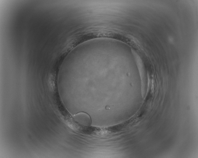 X0000075840695200609151305