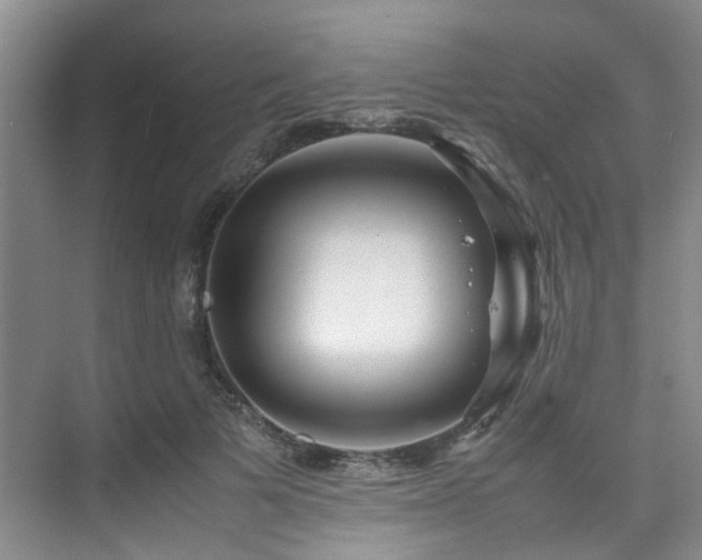 X0000075840697200609151305