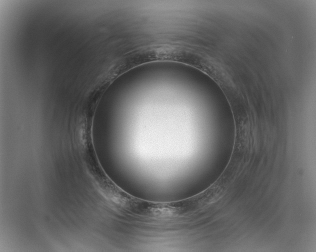 X0000075840698200609151305