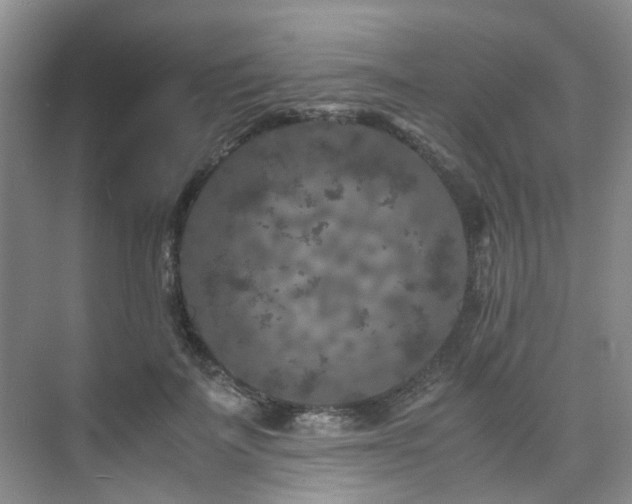 X0000075840699200609151305