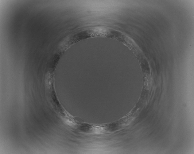 X0000075840701200609151305