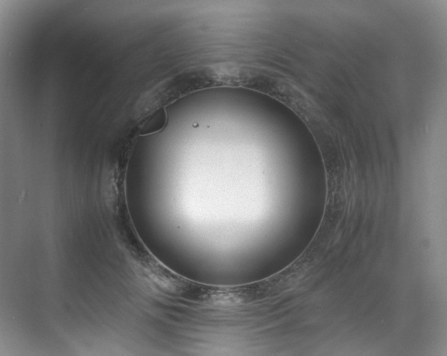 X0000075840702200609151305