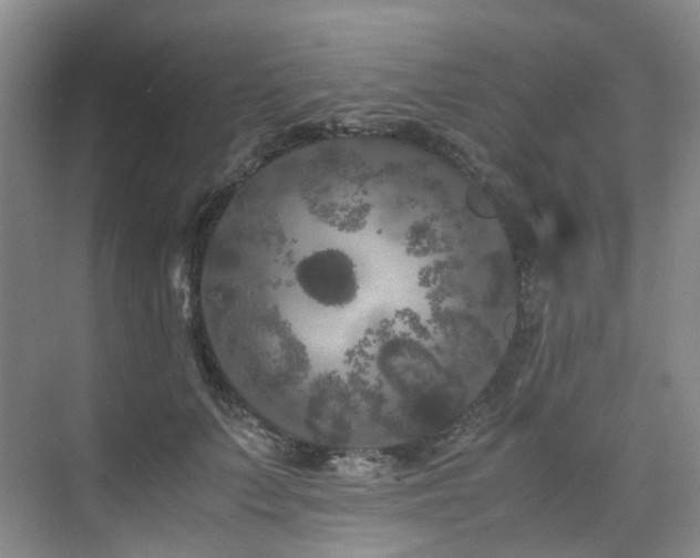 X0000075840703200609151305