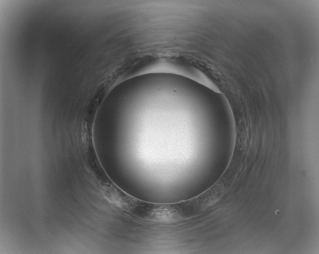 X0000075840704200609151305