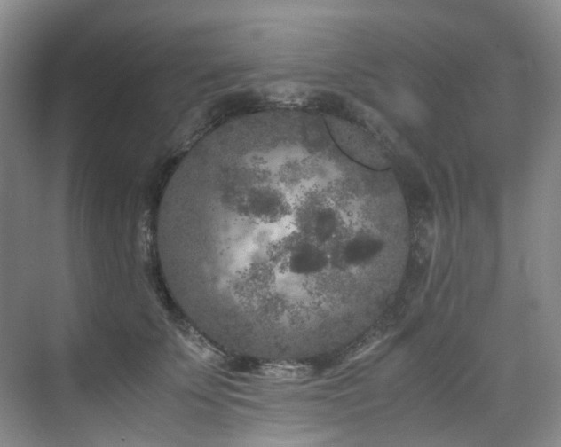 X0000075840707200609151304