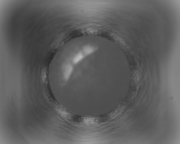 X0000075840709200609151304