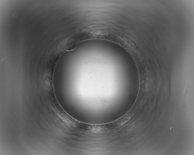 X0000075840710200609151304