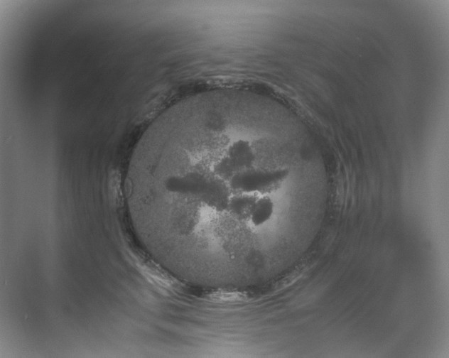 X0000075840711200609151304