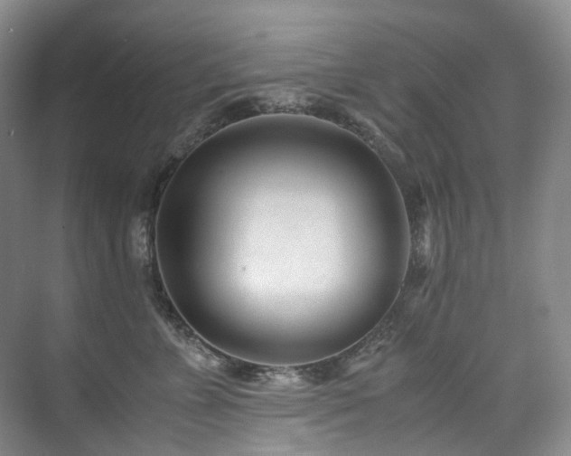 X0000075840715200609151304