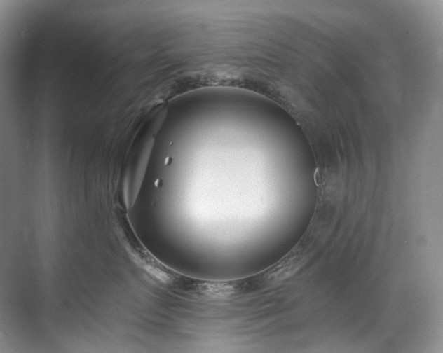 X0000075840719200609151304