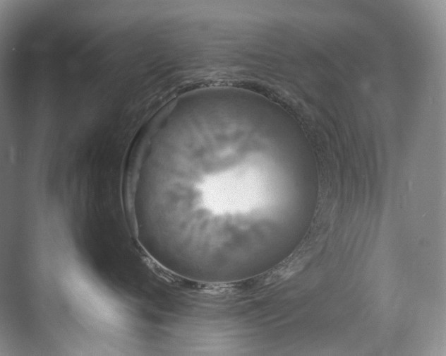 X0000075840720200609151304