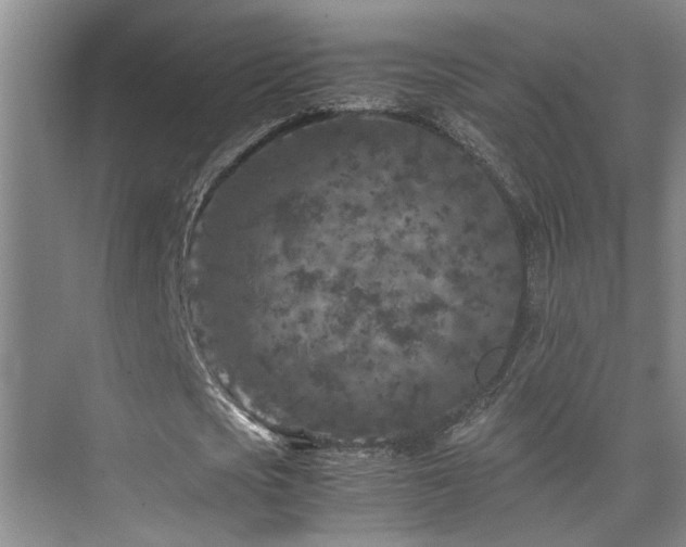 X0000075840721200609151303