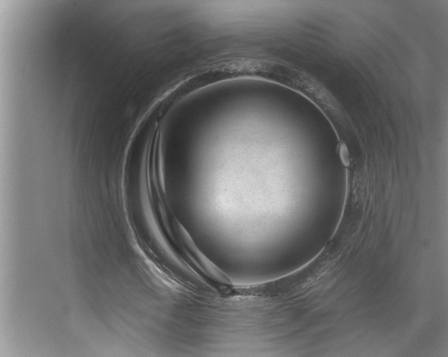 X0000075840722200609151303