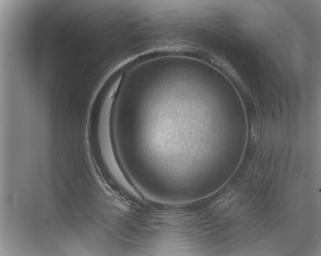 X0000075840724200609151303