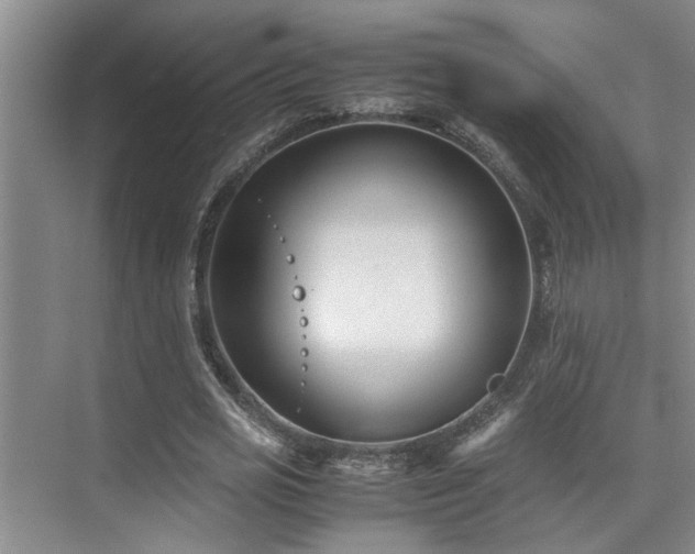 X0000075840725200609151303