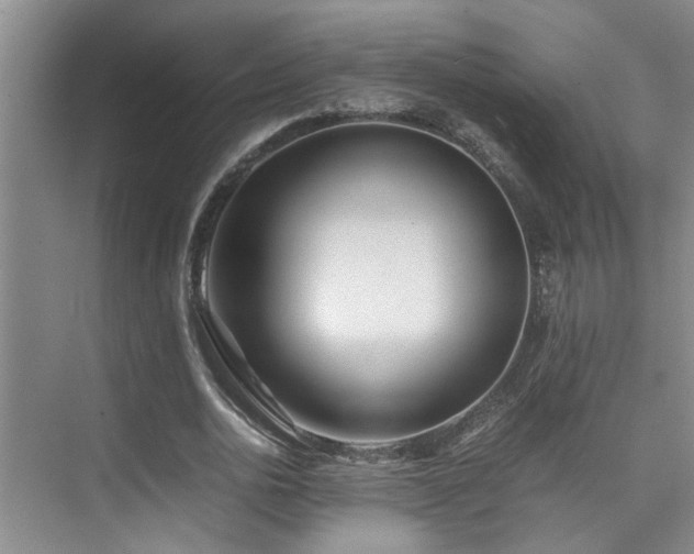 X0000075840726200609151304