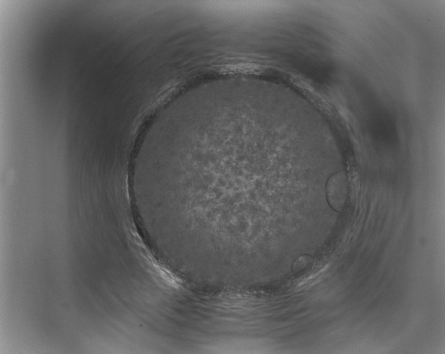 X0000075840729200609151304