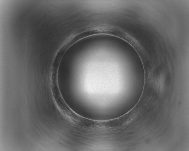 X0000075840730200609151304